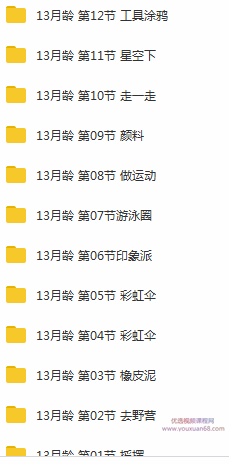 13个月宝宝早教训练方案课程视频全套(56集)